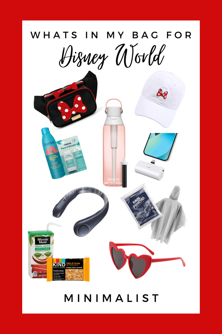 Disney World Bag for the&nbsp;Minimalist